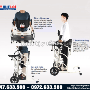 xe lăn cao cấp tiện dụng