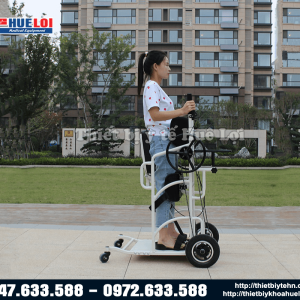 xe lăn tập đứng loại cao cấp